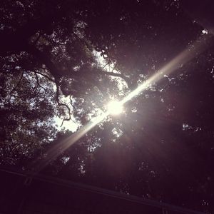 黑人超长巨大XXXXXXX白人
