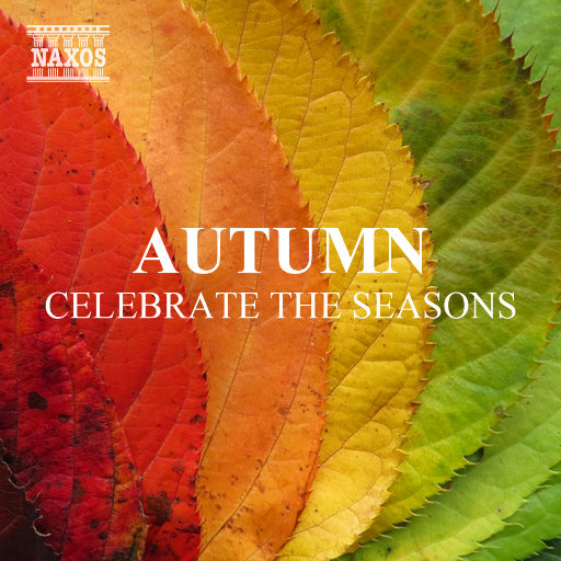 黑人超长巨大XXXXXXX白人
